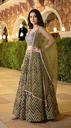 Olive Green Chevron Printed Lightweight Lehenga Set with Handwork Blouse | Rosio House
