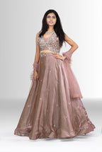 Ethereal Dusty Rose Embellished Crop Top Lehenga Set