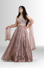 Ethereal Dusty Rose Embellished Crop Top Lehenga Set
