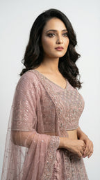 Close-up of the sheer net dupatta showing the elegant scalloped cutwork border with heavy silver embellishments.